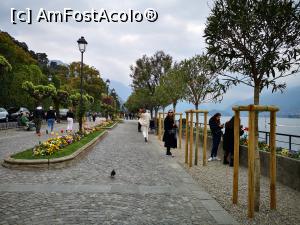 [P04] La plimbare pe lungolago în Bellagio » foto by crismis
 - 
<span class="allrVoted glyphicon glyphicon-heart hidden" id="av1303979"></span>
<a class="m-l-10 hidden" id="sv1303979" onclick="voting_Foto_DelVot(,1303979,4871)" role="button">șterge vot <span class="glyphicon glyphicon-remove"></span></a>
<a id="v91303979" class=" c-red"  onclick="voting_Foto_SetVot(1303979)" role="button"><span class="glyphicon glyphicon-heart-empty"></span> <b>LIKE</b> = Votează poza</a> <img class="hidden"  id="f1303979W9" src="/imagini/loader.gif" border="0" /><span class="AjErrMes hidden" id="e1303979ErM"></span>
