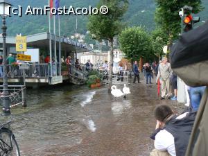 [P11] Doua lebede ce asteapta vaporasul pentru o plimbare pe lac » foto by DOINITA
 - 
<span class="allrVoted glyphicon glyphicon-heart hidden" id="av948902"></span>
<a class="m-l-10 hidden" id="sv948902" onclick="voting_Foto_DelVot(,948902,4871)" role="button">șterge vot <span class="glyphicon glyphicon-remove"></span></a>
<a id="v9948902" class=" c-red"  onclick="voting_Foto_SetVot(948902)" role="button"><span class="glyphicon glyphicon-heart-empty"></span> <b>LIKE</b> = Votează poza</a> <img class="hidden"  id="f948902W9" src="/imagini/loader.gif" border="0" /><span class="AjErrMes hidden" id="e948902ErM"></span>