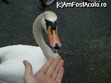 [P02]  -- <small>// FĂRĂ DESCRIERE</small> » foto by ghitoca001
 - 
<span class="allrVoted glyphicon glyphicon-heart hidden" id="av47216"></span>
<a class="m-l-10 hidden" id="sv47216" onclick="voting_Foto_DelVot(,47216,4871)" role="button">șterge vot <span class="glyphicon glyphicon-remove"></span></a>
<a id="v947216" class=" c-red"  onclick="voting_Foto_SetVot(47216)" role="button"><span class="glyphicon glyphicon-heart-empty"></span> <b>LIKE</b> = Votează poza</a> <img class="hidden"  id="f47216W9" src="/imagini/loader.gif" border="0" /><span class="AjErrMes hidden" id="e47216ErM"></span>