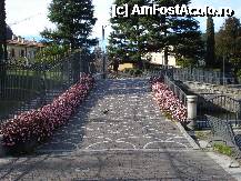 [P45] 'Lungolago', faleza imbodobita cu flori pe malul stang lacul Como » foto by Cristina67
 - 
<span class="allrVoted glyphicon glyphicon-heart hidden" id="av291022"></span>
<a class="m-l-10 hidden" id="sv291022" onclick="voting_Foto_DelVot(,291022,4871)" role="button">șterge vot <span class="glyphicon glyphicon-remove"></span></a>
<a id="v9291022" class=" c-red"  onclick="voting_Foto_SetVot(291022)" role="button"><span class="glyphicon glyphicon-heart-empty"></span> <b>LIKE</b> = Votează poza</a> <img class="hidden"  id="f291022W9" src="/imagini/loader.gif" border="0" /><span class="AjErrMes hidden" id="e291022ErM"></span>