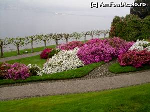 [P21] Drumul florilor de la vila Melzi D'Eryl din Bellagio inca simt parfumul florilor » foto by andreip2
 - 
<span class="allrVoted glyphicon glyphicon-heart hidden" id="av614602"></span>
<a class="m-l-10 hidden" id="sv614602" onclick="voting_Foto_DelVot(,614602,4871)" role="button">șterge vot <span class="glyphicon glyphicon-remove"></span></a>
<a id="v9614602" class=" c-red"  onclick="voting_Foto_SetVot(614602)" role="button"><span class="glyphicon glyphicon-heart-empty"></span> <b>LIKE</b> = Votează poza</a> <img class="hidden"  id="f614602W9" src="/imagini/loader.gif" border="0" /><span class="AjErrMes hidden" id="e614602ErM"></span>