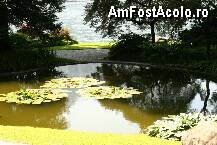 [P15] Nuferii de pe lacul cu pesti rosii » foto by liviadavidescu
 - 
<span class="allrVoted glyphicon glyphicon-heart hidden" id="av263400"></span>
<a class="m-l-10 hidden" id="sv263400" onclick="voting_Foto_DelVot(,263400,4871)" role="button">șterge vot <span class="glyphicon glyphicon-remove"></span></a>
<a id="v9263400" class=" c-red"  onclick="voting_Foto_SetVot(263400)" role="button"><span class="glyphicon glyphicon-heart-empty"></span> <b>LIKE</b> = Votează poza</a> <img class="hidden"  id="f263400W9" src="/imagini/loader.gif" border="0" /><span class="AjErrMes hidden" id="e263400ErM"></span>