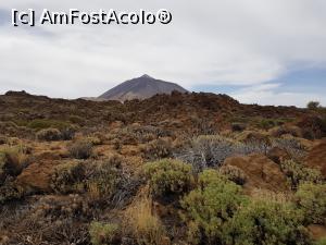 [P09] peisaj spre Teide » foto by Aniram
 - 
<span class="allrVoted glyphicon glyphicon-heart hidden" id="av1145237"></span>
<a class="m-l-10 hidden" id="sv1145237" onclick="voting_Foto_DelVot(,1145237,4873)" role="button">șterge vot <span class="glyphicon glyphicon-remove"></span></a>
<a id="v91145237" class=" c-red"  onclick="voting_Foto_SetVot(1145237)" role="button"><span class="glyphicon glyphicon-heart-empty"></span> <b>LIKE</b> = Votează poza</a> <img class="hidden"  id="f1145237W9" src="/imagini/loader.gif" border="0" /><span class="AjErrMes hidden" id="e1145237ErM"></span>