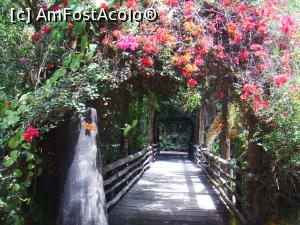 [P29] Jungle Park » foto by felix
 - 
<span class="allrVoted glyphicon glyphicon-heart hidden" id="av863739"></span>
<a class="m-l-10 hidden" id="sv863739" onclick="voting_Foto_DelVot(,863739,4873)" role="button">șterge vot <span class="glyphicon glyphicon-remove"></span></a>
<a id="v9863739" class=" c-red"  onclick="voting_Foto_SetVot(863739)" role="button"><span class="glyphicon glyphicon-heart-empty"></span> <b>LIKE</b> = Votează poza</a> <img class="hidden"  id="f863739W9" src="/imagini/loader.gif" border="0" /><span class="AjErrMes hidden" id="e863739ErM"></span>