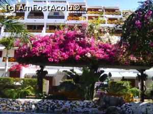 [P48] Playa de las Americas » foto by felix
 - 
<span class="allrVoted glyphicon glyphicon-heart hidden" id="av863773"></span>
<a class="m-l-10 hidden" id="sv863773" onclick="voting_Foto_DelVot(,863773,4873)" role="button">șterge vot <span class="glyphicon glyphicon-remove"></span></a>
<a id="v9863773" class=" c-red"  onclick="voting_Foto_SetVot(863773)" role="button"><span class="glyphicon glyphicon-heart-empty"></span> <b>LIKE</b> = Votează poza</a> <img class="hidden"  id="f863773W9" src="/imagini/loader.gif" border="0" /><span class="AjErrMes hidden" id="e863773ErM"></span>