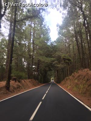 [P12] Teide » foto by ailynuka
 - 
<span class="allrVoted glyphicon glyphicon-heart hidden" id="av1023873"></span>
<a class="m-l-10 hidden" id="sv1023873" onclick="voting_Foto_DelVot(,1023873,4873)" role="button">șterge vot <span class="glyphicon glyphicon-remove"></span></a>
<a id="v91023873" class=" c-red"  onclick="voting_Foto_SetVot(1023873)" role="button"><span class="glyphicon glyphicon-heart-empty"></span> <b>LIKE</b> = Votează poza</a> <img class="hidden"  id="f1023873W9" src="/imagini/loader.gif" border="0" /><span class="AjErrMes hidden" id="e1023873ErM"></span>