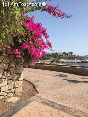 [P03] Playa del Duque » foto by ailynuka
 - 
<span class="allrVoted glyphicon glyphicon-heart hidden" id="av1023863"></span>
<a class="m-l-10 hidden" id="sv1023863" onclick="voting_Foto_DelVot(,1023863,4873)" role="button">șterge vot <span class="glyphicon glyphicon-remove"></span></a>
<a id="v91023863" class=" c-red"  onclick="voting_Foto_SetVot(1023863)" role="button"><span class="glyphicon glyphicon-heart-empty"></span> <b>LIKE</b> = Votează poza</a> <img class="hidden"  id="f1023863W9" src="/imagini/loader.gif" border="0" /><span class="AjErrMes hidden" id="e1023863ErM"></span>