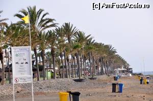 [P08] o portiune din plaja Honda asa ii zice. asta ca sa va fie dor de Mamaia.  » foto by alunelu69
 - 
<span class="allrVoted glyphicon glyphicon-heart hidden" id="av509054"></span>
<a class="m-l-10 hidden" id="sv509054" onclick="voting_Foto_DelVot(,509054,4873)" role="button">șterge vot <span class="glyphicon glyphicon-remove"></span></a>
<a id="v9509054" class=" c-red"  onclick="voting_Foto_SetVot(509054)" role="button"><span class="glyphicon glyphicon-heart-empty"></span> <b>LIKE</b> = Votează poza</a> <img class="hidden"  id="f509054W9" src="/imagini/loader.gif" border="0" /><span class="AjErrMes hidden" id="e509054ErM"></span>