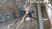 [P14]  -- <small>// FĂRĂ DESCRIERE</small> » foto by roth
 - 
<span class="allrVoted glyphicon glyphicon-heart hidden" id="av323915"></span>
<a class="m-l-10 hidden" id="sv323915" onclick="voting_Foto_DelVot(,323915,4873)" role="button">șterge vot <span class="glyphicon glyphicon-remove"></span></a>
<a id="v9323915" class=" c-red"  onclick="voting_Foto_SetVot(323915)" role="button"><span class="glyphicon glyphicon-heart-empty"></span> <b>LIKE</b> = Votează poza</a> <img class="hidden"  id="f323915W9" src="/imagini/loader.gif" border="0" /><span class="AjErrMes hidden" id="e323915ErM"></span>