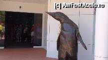 [P18] intrarea la pinguini » foto by roth
 - 
<span class="allrVoted glyphicon glyphicon-heart hidden" id="av323921"></span>
<a class="m-l-10 hidden" id="sv323921" onclick="voting_Foto_DelVot(,323921,4873)" role="button">șterge vot <span class="glyphicon glyphicon-remove"></span></a>
<a id="v9323921" class=" c-red"  onclick="voting_Foto_SetVot(323921)" role="button"><span class="glyphicon glyphicon-heart-empty"></span> <b>LIKE</b> = Votează poza</a> <img class="hidden"  id="f323921W9" src="/imagini/loader.gif" border="0" /><span class="AjErrMes hidden" id="e323921ErM"></span>