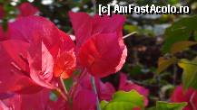 [P20]  -- <small>// FĂRĂ DESCRIERE</small> » foto by roth
 - 
<span class="allrVoted glyphicon glyphicon-heart hidden" id="av323923"></span>
<a class="m-l-10 hidden" id="sv323923" onclick="voting_Foto_DelVot(,323923,4873)" role="button">șterge vot <span class="glyphicon glyphicon-remove"></span></a>
<a id="v9323923" class=" c-red"  onclick="voting_Foto_SetVot(323923)" role="button"><span class="glyphicon glyphicon-heart-empty"></span> <b>LIKE</b> = Votează poza</a> <img class="hidden"  id="f323923W9" src="/imagini/loader.gif" border="0" /><span class="AjErrMes hidden" id="e323923ErM"></span>