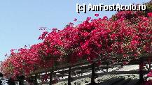 [P21]  -- <small>// FĂRĂ DESCRIERE</small> » foto by roth
 - 
<span class="allrVoted glyphicon glyphicon-heart hidden" id="av323924"></span>
<a class="m-l-10 hidden" id="sv323924" onclick="voting_Foto_DelVot(,323924,4873)" role="button">șterge vot <span class="glyphicon glyphicon-remove"></span></a>
<a id="v9323924" class=" c-red"  onclick="voting_Foto_SetVot(323924)" role="button"><span class="glyphicon glyphicon-heart-empty"></span> <b>LIKE</b> = Votează poza</a> <img class="hidden"  id="f323924W9" src="/imagini/loader.gif" border="0" /><span class="AjErrMes hidden" id="e323924ErM"></span>