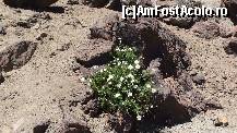 [P05] ce inseamna viata!!!! » foto by roth
 - 
<span class="allrVoted glyphicon glyphicon-heart hidden" id="av324455"></span>
<a class="m-l-10 hidden" id="sv324455" onclick="voting_Foto_DelVot(,324455,4873)" role="button">șterge vot <span class="glyphicon glyphicon-remove"></span></a>
<a id="v9324455" class=" c-red"  onclick="voting_Foto_SetVot(324455)" role="button"><span class="glyphicon glyphicon-heart-empty"></span> <b>LIKE</b> = Votează poza</a> <img class="hidden"  id="f324455W9" src="/imagini/loader.gif" border="0" /><span class="AjErrMes hidden" id="e324455ErM"></span>