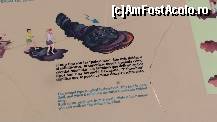 [P07] cea moale, fina din care s-a creat faimosul nisip negru ce se gaseste peste tot la plaja, cu mici exceptii desigur. » foto by roth
 - 
<span class="allrVoted glyphicon glyphicon-heart hidden" id="av324457"></span>
<a class="m-l-10 hidden" id="sv324457" onclick="voting_Foto_DelVot(,324457,4873)" role="button">șterge vot <span class="glyphicon glyphicon-remove"></span></a>
<a id="v9324457" class=" c-red"  onclick="voting_Foto_SetVot(324457)" role="button"><span class="glyphicon glyphicon-heart-empty"></span> <b>LIKE</b> = Votează poza</a> <img class="hidden"  id="f324457W9" src="/imagini/loader.gif" border="0" /><span class="AjErrMes hidden" id="e324457ErM"></span>