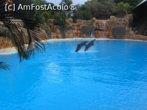 [P50] Tenerife - Spectacol acvatic în Loro Parque. » foto by iulianic
 - 
<span class="allrVoted glyphicon glyphicon-heart hidden" id="av1423462"></span>
<a class="m-l-10 hidden" id="sv1423462" onclick="voting_Foto_DelVot(,1423462,4873)" role="button">șterge vot <span class="glyphicon glyphicon-remove"></span></a>
<a id="v91423462" class=" c-red"  onclick="voting_Foto_SetVot(1423462)" role="button"><span class="glyphicon glyphicon-heart-empty"></span> <b>LIKE</b> = Votează poza</a> <img class="hidden"  id="f1423462W9" src="/imagini/loader.gif" border="0" /><span class="AjErrMes hidden" id="e1423462ErM"></span>
