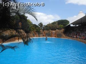 [P52] Tenerife - Spectacol acvatic în Loro Parque. » foto by iulianic
 - 
<span class="allrVoted glyphicon glyphicon-heart hidden" id="av1423464"></span>
<a class="m-l-10 hidden" id="sv1423464" onclick="voting_Foto_DelVot(,1423464,4873)" role="button">șterge vot <span class="glyphicon glyphicon-remove"></span></a>
<a id="v91423464" class=" c-red"  onclick="voting_Foto_SetVot(1423464)" role="button"><span class="glyphicon glyphicon-heart-empty"></span> <b>LIKE</b> = Votează poza</a> <img class="hidden"  id="f1423464W9" src="/imagini/loader.gif" border="0" /><span class="AjErrMes hidden" id="e1423464ErM"></span>