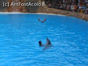 [P53] Tenerife - Spectacol acvatic în Loro Parque. » foto by iulianic
 - 
<span class="allrVoted glyphicon glyphicon-heart hidden" id="av1423465"></span>
<a class="m-l-10 hidden" id="sv1423465" onclick="voting_Foto_DelVot(,1423465,4873)" role="button">șterge vot <span class="glyphicon glyphicon-remove"></span></a>
<a id="v91423465" class=" c-red"  onclick="voting_Foto_SetVot(1423465)" role="button"><span class="glyphicon glyphicon-heart-empty"></span> <b>LIKE</b> = Votează poza</a> <img class="hidden"  id="f1423465W9" src="/imagini/loader.gif" border="0" /><span class="AjErrMes hidden" id="e1423465ErM"></span>