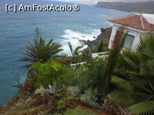 [P09] Tenerife - Puerto de la Cruz. » foto by iulianic
 - 
<span class="allrVoted glyphicon glyphicon-heart hidden" id="av1423421"></span>
<a class="m-l-10 hidden" id="sv1423421" onclick="voting_Foto_DelVot(,1423421,4873)" role="button">șterge vot <span class="glyphicon glyphicon-remove"></span></a>
<a id="v91423421" class=" c-red"  onclick="voting_Foto_SetVot(1423421)" role="button"><span class="glyphicon glyphicon-heart-empty"></span> <b>LIKE</b> = Votează poza</a> <img class="hidden"  id="f1423421W9" src="/imagini/loader.gif" border="0" /><span class="AjErrMes hidden" id="e1423421ErM"></span>