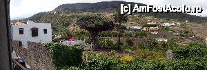 [P08] Panorama Drago Milenario » foto by Kyandra
 - 
<span class="allrVoted glyphicon glyphicon-heart hidden" id="av450560"></span>
<a class="m-l-10 hidden" id="sv450560" onclick="voting_Foto_DelVot(,450560,4873)" role="button">șterge vot <span class="glyphicon glyphicon-remove"></span></a>
<a id="v9450560" class=" c-red"  onclick="voting_Foto_SetVot(450560)" role="button"><span class="glyphicon glyphicon-heart-empty"></span> <b>LIKE</b> = Votează poza</a> <img class="hidden"  id="f450560W9" src="/imagini/loader.gif" border="0" /><span class="AjErrMes hidden" id="e450560ErM"></span>