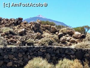 [P15] muntele Teide » foto by simon_niculae
 - 
<span class="allrVoted glyphicon glyphicon-heart hidden" id="av900546"></span>
<a class="m-l-10 hidden" id="sv900546" onclick="voting_Foto_DelVot(,900546,4873)" role="button">șterge vot <span class="glyphicon glyphicon-remove"></span></a>
<a id="v9900546" class=" c-red"  onclick="voting_Foto_SetVot(900546)" role="button"><span class="glyphicon glyphicon-heart-empty"></span> <b>LIKE</b> = Votează poza</a> <img class="hidden"  id="f900546W9" src="/imagini/loader.gif" border="0" /><span class="AjErrMes hidden" id="e900546ErM"></span>