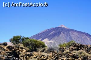 [P20] Teide, acoperisul' de la distanta al Spaniei » foto by simon_niculae
 - 
<span class="allrVoted glyphicon glyphicon-heart hidden" id="av900552"></span>
<a class="m-l-10 hidden" id="sv900552" onclick="voting_Foto_DelVot(,900552,4873)" role="button">șterge vot <span class="glyphicon glyphicon-remove"></span></a>
<a id="v9900552" class=" c-red"  onclick="voting_Foto_SetVot(900552)" role="button"><span class="glyphicon glyphicon-heart-empty"></span> <b>LIKE</b> = Votează poza</a> <img class="hidden"  id="f900552W9" src="/imagini/loader.gif" border="0" /><span class="AjErrMes hidden" id="e900552ErM"></span>