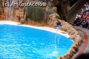 [P05] Loro parc - delfinariu » foto by simon_niculae
 - 
<span class="allrVoted glyphicon glyphicon-heart hidden" id="av900536"></span>
<a class="m-l-10 hidden" id="sv900536" onclick="voting_Foto_DelVot(,900536,4873)" role="button">șterge vot <span class="glyphicon glyphicon-remove"></span></a>
<a id="v9900536" class=" c-red"  onclick="voting_Foto_SetVot(900536)" role="button"><span class="glyphicon glyphicon-heart-empty"></span> <b>LIKE</b> = Votează poza</a> <img class="hidden"  id="f900536W9" src="/imagini/loader.gif" border="0" /><span class="AjErrMes hidden" id="e900536ErM"></span>