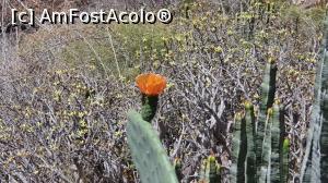 [P17] Barranco del Infierno » foto by andi1972
 - 
<span class="allrVoted glyphicon glyphicon-heart hidden" id="av1234783"></span>
<a class="m-l-10 hidden" id="sv1234783" onclick="voting_Foto_DelVot(,1234783,4873)" role="button">șterge vot <span class="glyphicon glyphicon-remove"></span></a>
<a id="v91234783" class=" c-red"  onclick="voting_Foto_SetVot(1234783)" role="button"><span class="glyphicon glyphicon-heart-empty"></span> <b>LIKE</b> = Votează poza</a> <img class="hidden"  id="f1234783W9" src="/imagini/loader.gif" border="0" /><span class="AjErrMes hidden" id="e1234783ErM"></span>