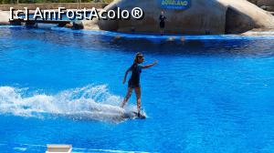 [P21] Aqualand Costa Adeje » foto by andi1972
 - 
<span class="allrVoted glyphicon glyphicon-heart hidden" id="av1234787"></span>
<a class="m-l-10 hidden" id="sv1234787" onclick="voting_Foto_DelVot(,1234787,4873)" role="button">șterge vot <span class="glyphicon glyphicon-remove"></span></a>
<a id="v91234787" class=" c-red"  onclick="voting_Foto_SetVot(1234787)" role="button"><span class="glyphicon glyphicon-heart-empty"></span> <b>LIKE</b> = Votează poza</a> <img class="hidden"  id="f1234787W9" src="/imagini/loader.gif" border="0" /><span class="AjErrMes hidden" id="e1234787ErM"></span>