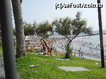[P10] Playa de las Americas - Monkey Beach » foto by Delight
 - 
<span class="allrVoted glyphicon glyphicon-heart hidden" id="av114936"></span>
<a class="m-l-10 hidden" id="sv114936" onclick="voting_Foto_DelVot(,114936,4873)" role="button">șterge vot <span class="glyphicon glyphicon-remove"></span></a>
<a id="v9114936" class=" c-red"  onclick="voting_Foto_SetVot(114936)" role="button"><span class="glyphicon glyphicon-heart-empty"></span> <b>LIKE</b> = Votează poza</a> <img class="hidden"  id="f114936W9" src="/imagini/loader.gif" border="0" /><span class="AjErrMes hidden" id="e114936ErM"></span>
