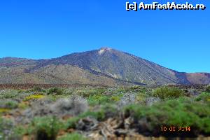 [P25] Zona vulcanului Teide » foto by marmin
 - 
<span class="allrVoted glyphicon glyphicon-heart hidden" id="av519001"></span>
<a class="m-l-10 hidden" id="sv519001" onclick="voting_Foto_DelVot(,519001,4873)" role="button">șterge vot <span class="glyphicon glyphicon-remove"></span></a>
<a id="v9519001" class=" c-red"  onclick="voting_Foto_SetVot(519001)" role="button"><span class="glyphicon glyphicon-heart-empty"></span> <b>LIKE</b> = Votează poza</a> <img class="hidden"  id="f519001W9" src="/imagini/loader.gif" border="0" /><span class="AjErrMes hidden" id="e519001ErM"></span>