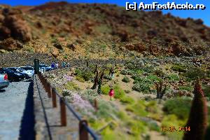 [P27] Teide » foto by marmin
 - 
<span class="allrVoted glyphicon glyphicon-heart hidden" id="av519006"></span>
<a class="m-l-10 hidden" id="sv519006" onclick="voting_Foto_DelVot(,519006,4873)" role="button">șterge vot <span class="glyphicon glyphicon-remove"></span></a>
<a id="v9519006" class=" c-red"  onclick="voting_Foto_SetVot(519006)" role="button"><span class="glyphicon glyphicon-heart-empty"></span> <b>LIKE</b> = Votează poza</a> <img class="hidden"  id="f519006W9" src="/imagini/loader.gif" border="0" /><span class="AjErrMes hidden" id="e519006ErM"></span>