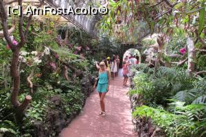 [P56] Tunelul orhideelor, Loro Parque » foto by Alina Roxana
 - 
<span class="allrVoted glyphicon glyphicon-heart hidden" id="av758386"></span>
<a class="m-l-10 hidden" id="sv758386" onclick="voting_Foto_DelVot(,758386,4873)" role="button">șterge vot <span class="glyphicon glyphicon-remove"></span></a>
<a id="v9758386" class=" c-red"  onclick="voting_Foto_SetVot(758386)" role="button"><span class="glyphicon glyphicon-heart-empty"></span> <b>LIKE</b> = Votează poza</a> <img class="hidden"  id="f758386W9" src="/imagini/loader.gif" border="0" /><span class="AjErrMes hidden" id="e758386ErM"></span>
