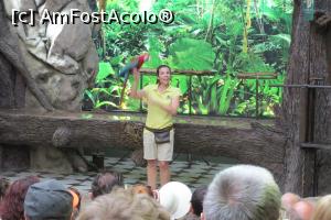 [P58] Spectacolul papagalilor, Loro Parque » foto by Alina Roxana
 - 
<span class="allrVoted glyphicon glyphicon-heart hidden" id="av758388"></span>
<a class="m-l-10 hidden" id="sv758388" onclick="voting_Foto_DelVot(,758388,4873)" role="button">șterge vot <span class="glyphicon glyphicon-remove"></span></a>
<a id="v9758388" class=" c-red"  onclick="voting_Foto_SetVot(758388)" role="button"><span class="glyphicon glyphicon-heart-empty"></span> <b>LIKE</b> = Votează poza</a> <img class="hidden"  id="f758388W9" src="/imagini/loader.gif" border="0" /><span class="AjErrMes hidden" id="e758388ErM"></span>