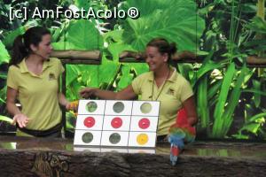 [P60] Spectacolul papagalilor, Loro Parque » foto by Alina Roxana
 - 
<span class="allrVoted glyphicon glyphicon-heart hidden" id="av758390"></span>
<a class="m-l-10 hidden" id="sv758390" onclick="voting_Foto_DelVot(,758390,4873)" role="button">șterge vot <span class="glyphicon glyphicon-remove"></span></a>
<a id="v9758390" class=" c-red"  onclick="voting_Foto_SetVot(758390)" role="button"><span class="glyphicon glyphicon-heart-empty"></span> <b>LIKE</b> = Votează poza</a> <img class="hidden"  id="f758390W9" src="/imagini/loader.gif" border="0" /><span class="AjErrMes hidden" id="e758390ErM"></span>