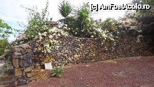 [P01] Gardul Muzeului Papusilor, pretext pt etalarea florilor inmiresmate » foto by liviadavidescu
 - 
<span class="allrVoted glyphicon glyphicon-heart hidden" id="av464329"></span>
<a class="m-l-10 hidden" id="sv464329" onclick="voting_Foto_DelVot(,464329,4873)" role="button">șterge vot <span class="glyphicon glyphicon-remove"></span></a>
<a id="v9464329" class=" c-red"  onclick="voting_Foto_SetVot(464329)" role="button"><span class="glyphicon glyphicon-heart-empty"></span> <b>LIKE</b> = Votează poza</a> <img class="hidden"  id="f464329W9" src="/imagini/loader.gif" border="0" /><span class="AjErrMes hidden" id="e464329ErM"></span>