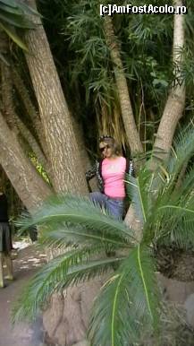[P15] o maimutica catarata in copac » foto by ghecamelia
 - 
<span class="allrVoted glyphicon glyphicon-heart hidden" id="av53507"></span>
<a class="m-l-10 hidden" id="sv53507" onclick="voting_Foto_DelVot(,53507,4873)" role="button">șterge vot <span class="glyphicon glyphicon-remove"></span></a>
<a id="v953507" class=" c-red"  onclick="voting_Foto_SetVot(53507)" role="button"><span class="glyphicon glyphicon-heart-empty"></span> <b>LIKE</b> = Votează poza</a> <img class="hidden"  id="f53507W9" src="/imagini/loader.gif" border="0" /><span class="AjErrMes hidden" id="e53507ErM"></span>
