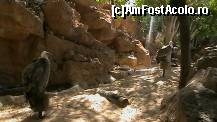 [P02] jungle parc este numit si pacul vulturilor » foto by ghecamelia
 - 
<span class="allrVoted glyphicon glyphicon-heart hidden" id="av53494"></span>
<a class="m-l-10 hidden" id="sv53494" onclick="voting_Foto_DelVot(,53494,4873)" role="button">șterge vot <span class="glyphicon glyphicon-remove"></span></a>
<a id="v953494" class=" c-red"  onclick="voting_Foto_SetVot(53494)" role="button"><span class="glyphicon glyphicon-heart-empty"></span> <b>LIKE</b> = Votează poza</a> <img class="hidden"  id="f53494W9" src="/imagini/loader.gif" border="0" /><span class="AjErrMes hidden" id="e53494ErM"></span>