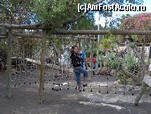 [P07] catarari pentru copii prin jungla » foto by ghecamelia
 - 
<span class="allrVoted glyphicon glyphicon-heart hidden" id="av53499"></span>
<a class="m-l-10 hidden" id="sv53499" onclick="voting_Foto_DelVot(,53499,4873)" role="button">șterge vot <span class="glyphicon glyphicon-remove"></span></a>
<a id="v953499" class=" c-red"  onclick="voting_Foto_SetVot(53499)" role="button"><span class="glyphicon glyphicon-heart-empty"></span> <b>LIKE</b> = Votează poza</a> <img class="hidden"  id="f53499W9" src="/imagini/loader.gif" border="0" /><span class="AjErrMes hidden" id="e53499ErM"></span>