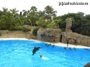 [P11] Spectacol cu delfini - Loro Park » foto by AliceB
 - 
<span class="allrVoted glyphicon glyphicon-heart hidden" id="av685940"></span>
<a class="m-l-10 hidden" id="sv685940" onclick="voting_Foto_DelVot(,685940,4873)" role="button">șterge vot <span class="glyphicon glyphicon-remove"></span></a>
<a id="v9685940" class=" c-red"  onclick="voting_Foto_SetVot(685940)" role="button"><span class="glyphicon glyphicon-heart-empty"></span> <b>LIKE</b> = Votează poza</a> <img class="hidden"  id="f685940W9" src="/imagini/loader.gif" border="0" /><span class="AjErrMes hidden" id="e685940ErM"></span>