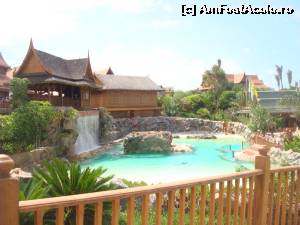 [P06] Siam park » foto by xioana
 - 
<span class="allrVoted glyphicon glyphicon-heart hidden" id="av563366"></span>
<a class="m-l-10 hidden" id="sv563366" onclick="voting_Foto_DelVot(,563366,4873)" role="button">șterge vot <span class="glyphicon glyphicon-remove"></span></a>
<a id="v9563366" class=" c-red"  onclick="voting_Foto_SetVot(563366)" role="button"><span class="glyphicon glyphicon-heart-empty"></span> <b>LIKE</b> = Votează poza</a> <img class="hidden"  id="f563366W9" src="/imagini/loader.gif" border="0" /><span class="AjErrMes hidden" id="e563366ErM"></span>
