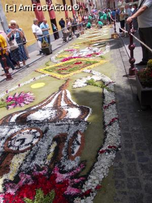 [P17] asa aratau strazile dupa 2 ore de munca intensiva » foto by Pami*
 - 
<span class="allrVoted glyphicon glyphicon-heart hidden" id="av739322"></span>
<a class="m-l-10 hidden" id="sv739322" onclick="voting_Foto_DelVot(,739322,4873)" role="button">șterge vot <span class="glyphicon glyphicon-remove"></span></a>
<a id="v9739322" class=" c-red"  onclick="voting_Foto_SetVot(739322)" role="button"><span class="glyphicon glyphicon-heart-empty"></span> <b>LIKE</b> = Votează poza</a> <img class="hidden"  id="f739322W9" src="/imagini/loader.gif" border="0" /><span class="AjErrMes hidden" id="e739322ErM"></span>