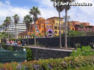 [P28] pe faleza din Playa de Las Americas la iesire spre Los Cristianos » foto by dianabzs
 - 
<span class="allrVoted glyphicon glyphicon-heart hidden" id="av421138"></span>
<a class="m-l-10 hidden" id="sv421138" onclick="voting_Foto_DelVot(,421138,4873)" role="button">șterge vot <span class="glyphicon glyphicon-remove"></span></a>
<a id="v9421138" class=" c-red"  onclick="voting_Foto_SetVot(421138)" role="button"><span class="glyphicon glyphicon-heart-empty"></span> <b>LIKE</b> = Votează poza</a> <img class="hidden"  id="f421138W9" src="/imagini/loader.gif" border="0" /><span class="AjErrMes hidden" id="e421138ErM"></span>