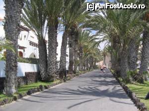 [P29] Los Cristianos, descoperirea statiunii la amiaza » foto by dianabzs
 - 
<span class="allrVoted glyphicon glyphicon-heart hidden" id="av421139"></span>
<a class="m-l-10 hidden" id="sv421139" onclick="voting_Foto_DelVot(,421139,4873)" role="button">șterge vot <span class="glyphicon glyphicon-remove"></span></a>
<a id="v9421139" class=" c-red"  onclick="voting_Foto_SetVot(421139)" role="button"><span class="glyphicon glyphicon-heart-empty"></span> <b>LIKE</b> = Votează poza</a> <img class="hidden"  id="f421139W9" src="/imagini/loader.gif" border="0" /><span class="AjErrMes hidden" id="e421139ErM"></span>