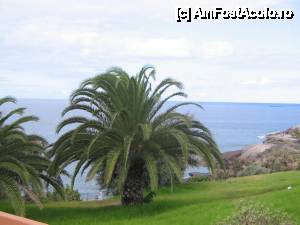 [P33] pe faleza din Costa Adeje, dupa Playa El Duque » foto by dianabzs
 - 
<span class="allrVoted glyphicon glyphicon-heart hidden" id="av421143"></span>
<a class="m-l-10 hidden" id="sv421143" onclick="voting_Foto_DelVot(,421143,4873)" role="button">șterge vot <span class="glyphicon glyphicon-remove"></span></a>
<a id="v9421143" class=" c-red"  onclick="voting_Foto_SetVot(421143)" role="button"><span class="glyphicon glyphicon-heart-empty"></span> <b>LIKE</b> = Votează poza</a> <img class="hidden"  id="f421143W9" src="/imagini/loader.gif" border="0" /><span class="AjErrMes hidden" id="e421143ErM"></span>