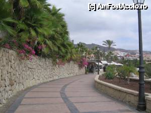 [P47] faleza in Costa Adeje, adica pe drumul de la plaja spre hotel » foto by dianabzs
 - 
<span class="allrVoted glyphicon glyphicon-heart hidden" id="av421171"></span>
<a class="m-l-10 hidden" id="sv421171" onclick="voting_Foto_DelVot(,421171,4873)" role="button">șterge vot <span class="glyphicon glyphicon-remove"></span></a>
<a id="v9421171" class=" c-red"  onclick="voting_Foto_SetVot(421171)" role="button"><span class="glyphicon glyphicon-heart-empty"></span> <b>LIKE</b> = Votează poza</a> <img class="hidden"  id="f421171W9" src="/imagini/loader.gif" border="0" /><span class="AjErrMes hidden" id="e421171ErM"></span>