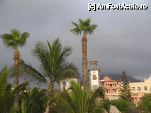 [P49] exotism in Costa Adeje » foto by dianabzs
 - 
<span class="allrVoted glyphicon glyphicon-heart hidden" id="av421174"></span>
<a class="m-l-10 hidden" id="sv421174" onclick="voting_Foto_DelVot(,421174,4873)" role="button">șterge vot <span class="glyphicon glyphicon-remove"></span></a>
<a id="v9421174" class=" c-red"  onclick="voting_Foto_SetVot(421174)" role="button"><span class="glyphicon glyphicon-heart-empty"></span> <b>LIKE</b> = Votează poza</a> <img class="hidden"  id="f421174W9" src="/imagini/loader.gif" border="0" /><span class="AjErrMes hidden" id="e421174ErM"></span>