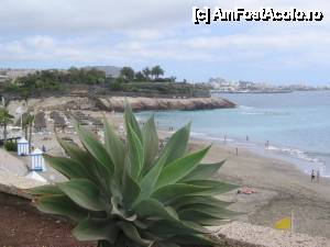[P60] Costa Adeje, Playa El Duque, o zi cu steag galben » foto by dianabzs
 - 
<span class="allrVoted glyphicon glyphicon-heart hidden" id="av421194"></span>
<a class="m-l-10 hidden" id="sv421194" onclick="voting_Foto_DelVot(,421194,4873)" role="button">șterge vot <span class="glyphicon glyphicon-remove"></span></a>
<a id="v9421194" class=" c-red"  onclick="voting_Foto_SetVot(421194)" role="button"><span class="glyphicon glyphicon-heart-empty"></span> <b>LIKE</b> = Votează poza</a> <img class="hidden"  id="f421194W9" src="/imagini/loader.gif" border="0" /><span class="AjErrMes hidden" id="e421194ErM"></span>