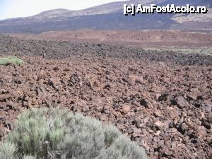 [P64] El Teide, nuante de lava pietrificata; aici am avut senzatia ciudata de pamant arat » foto by dianabzs
 - 
<span class="allrVoted glyphicon glyphicon-heart hidden" id="av421207"></span>
<a class="m-l-10 hidden" id="sv421207" onclick="voting_Foto_DelVot(,421207,4873)" role="button">șterge vot <span class="glyphicon glyphicon-remove"></span></a>
<a id="v9421207" class=" c-red"  onclick="voting_Foto_SetVot(421207)" role="button"><span class="glyphicon glyphicon-heart-empty"></span> <b>LIKE</b> = Votează poza</a> <img class="hidden"  id="f421207W9" src="/imagini/loader.gif" border="0" /><span class="AjErrMes hidden" id="e421207ErM"></span>