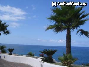 [P79] palmieri pe faleza in Costa Adeje » foto by dianabzs
 - 
<span class="allrVoted glyphicon glyphicon-heart hidden" id="av421244"></span>
<a class="m-l-10 hidden" id="sv421244" onclick="voting_Foto_DelVot(,421244,4873)" role="button">șterge vot <span class="glyphicon glyphicon-remove"></span></a>
<a id="v9421244" class=" c-red"  onclick="voting_Foto_SetVot(421244)" role="button"><span class="glyphicon glyphicon-heart-empty"></span> <b>LIKE</b> = Votează poza</a> <img class="hidden"  id="f421244W9" src="/imagini/loader.gif" border="0" /><span class="AjErrMes hidden" id="e421244ErM"></span>