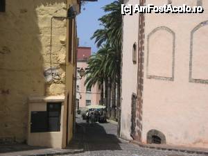 [P25] La Orotava, ratacind printre stradute » foto by dianabzs
 - 
<span class="allrVoted glyphicon glyphicon-heart hidden" id="av422054"></span>
<a class="m-l-10 hidden" id="sv422054" onclick="voting_Foto_DelVot(,422054,4873)" role="button">șterge vot <span class="glyphicon glyphicon-remove"></span></a>
<a id="v9422054" class=" c-red"  onclick="voting_Foto_SetVot(422054)" role="button"><span class="glyphicon glyphicon-heart-empty"></span> <b>LIKE</b> = Votează poza</a> <img class="hidden"  id="f422054W9" src="/imagini/loader.gif" border="0" /><span class="AjErrMes hidden" id="e422054ErM"></span>